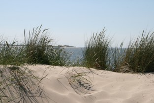 Sandd�nen von Utersum